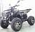 Квадроцикл MOTAX ATV GRIZLIK E3000 4WD, мотосалон StelsLand