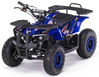 Квадроцикл MOTAX Grizlik X16 ES BW