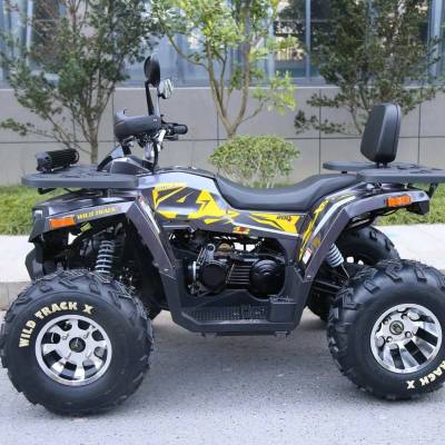 Квадроцикл подростковый MotoLand ATV 200 WILD TRAСK X PRO