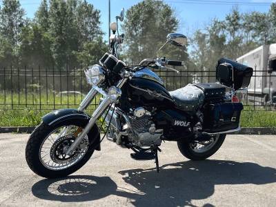 Мотоцикл MotoLand WOLF 300
