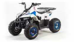 Квадроцикл подростковый MotoLand ATV EAGLE 110