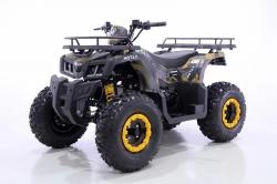 Квадроцикл MOTAX ATV Grizlik T 200 LUX