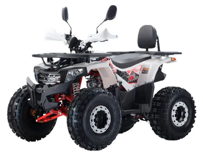 Model квадроцикла a2470